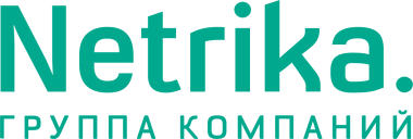 Логотип компании Netrika