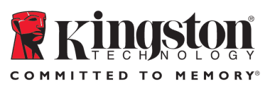 Логотип компании Kingston