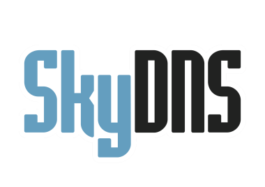 Логотип компании SkyDNS